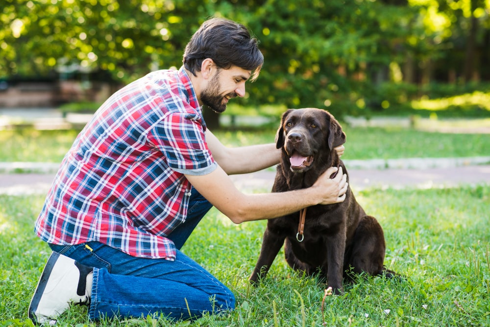 a happy dog