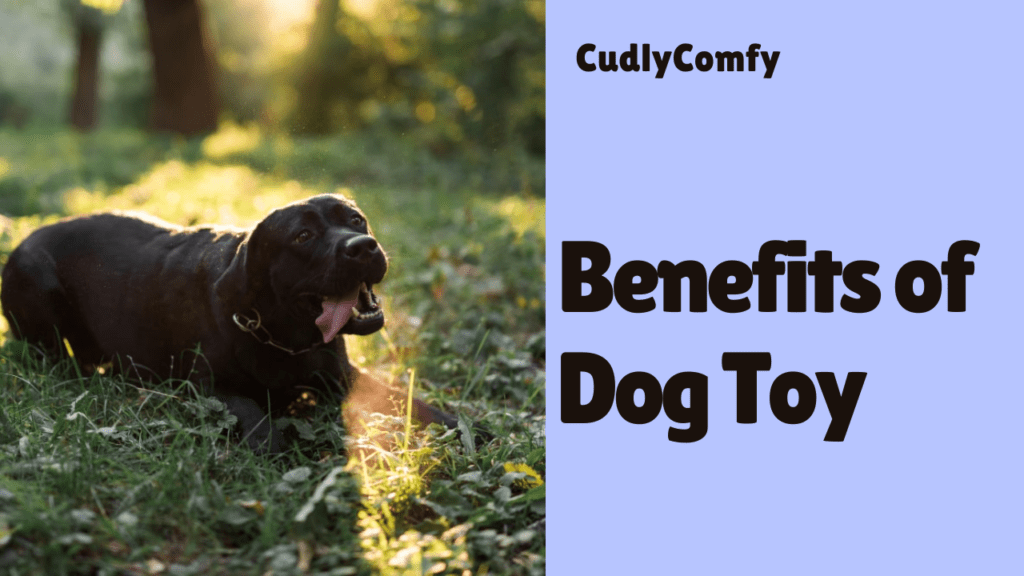 Benefit of Dog Toy