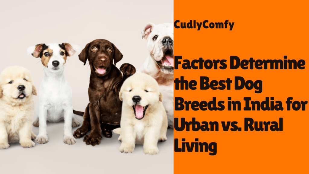 Factors Determine the Best Dog Breeds in India for Urban vs. Rural Living