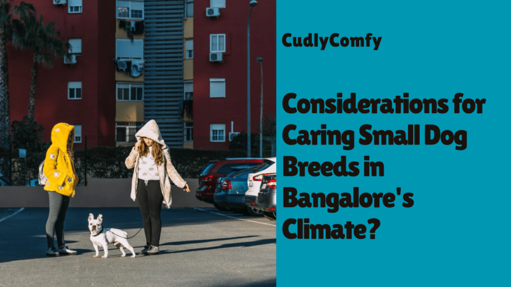 Considerations for Caring Small Dog Breeds in Bangalore’s Climate?